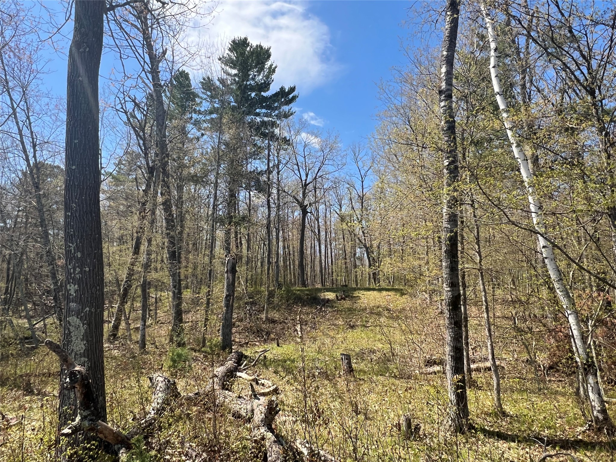 N4365 Red Oak Lane Stone Lake WI 54876 - Slim Lake 1601171 image21