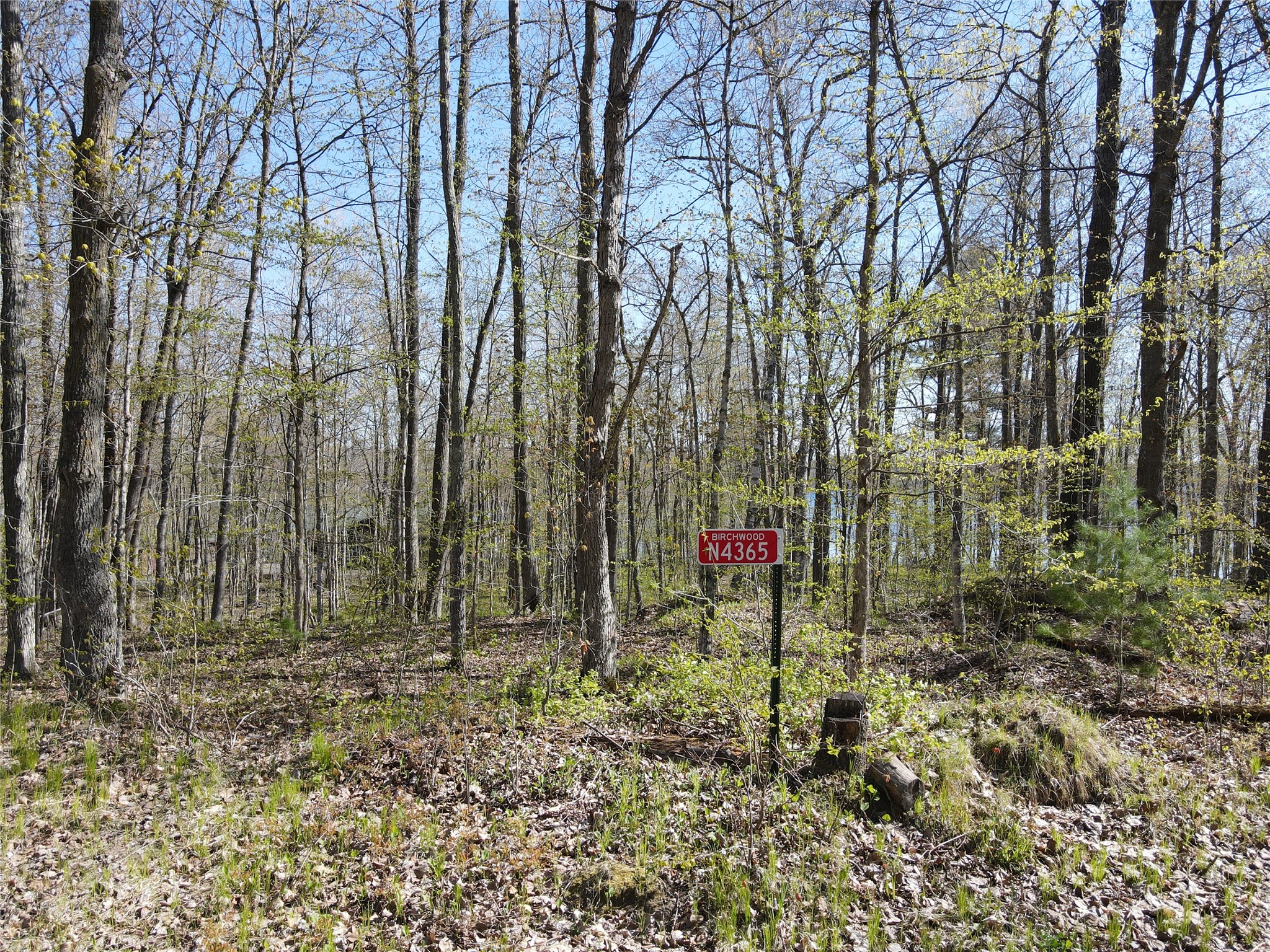 N4365 Red Oak Lane Stone Lake WI 54876 - Slim Lake 1601171 image9