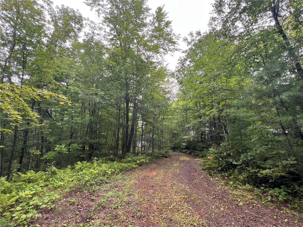 N4385 Red Oak Lane Stone Lake WI 54876 - Slim Lake 1594793 image15