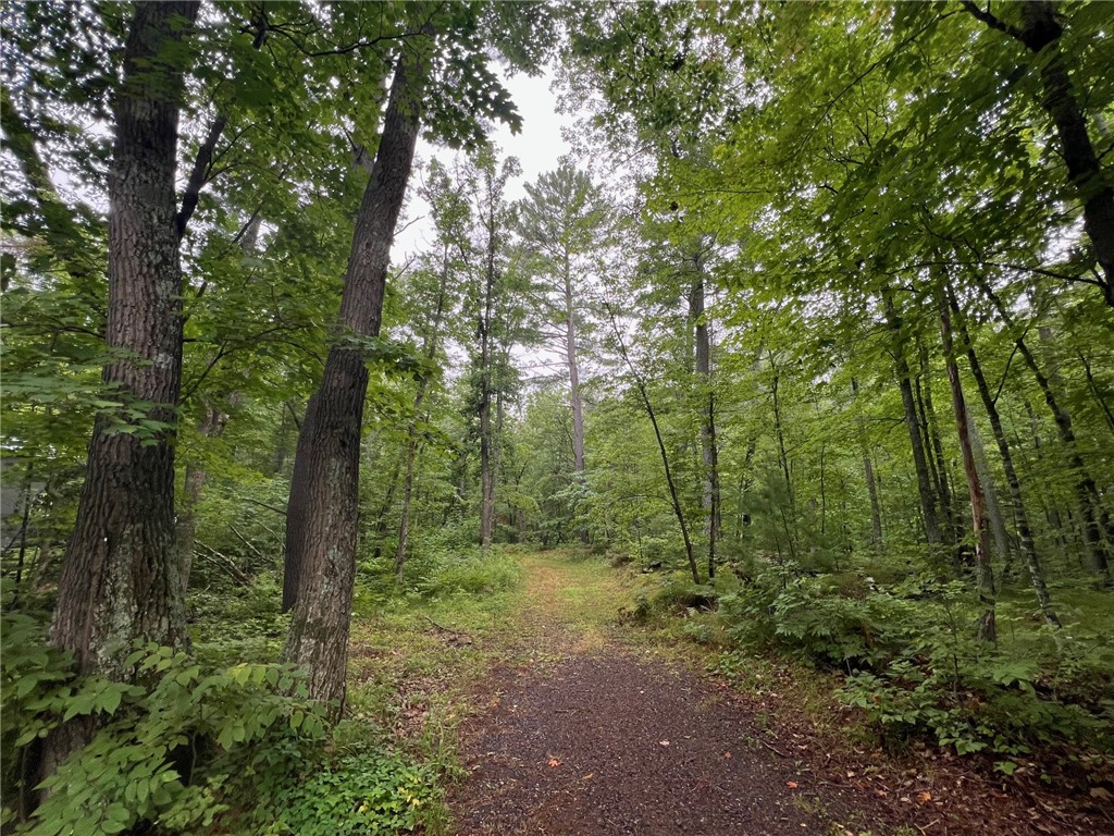 N4385 Red Oak Lane Stone Lake WI 54876 - Slim Lake 1594793 image21