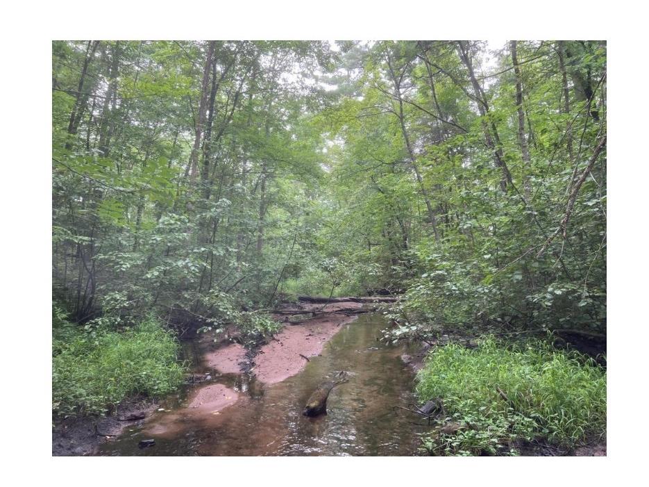 N4385 Red Oak Lane Stone Lake WI 54876 - Slim Lake 1594793 image23