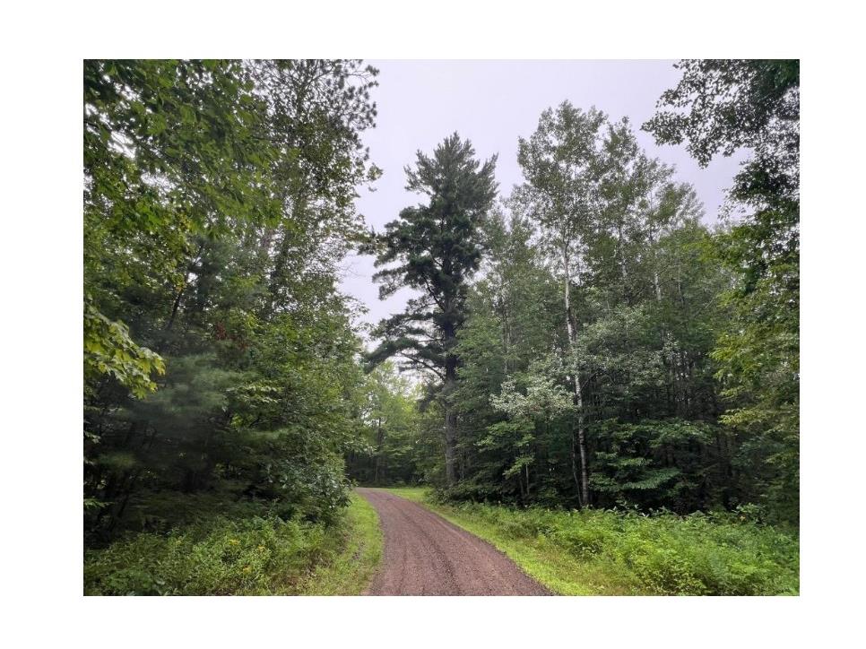 N4385 Red Oak Lane Stone Lake WI 54876 - Slim Lake 1594793 image24