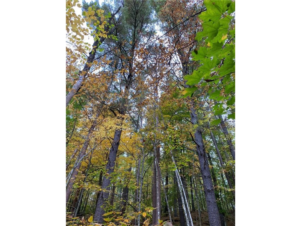 N4385 Red Oak Lane Stone Lake WI 54876 - Slim Lake 1594793 image25