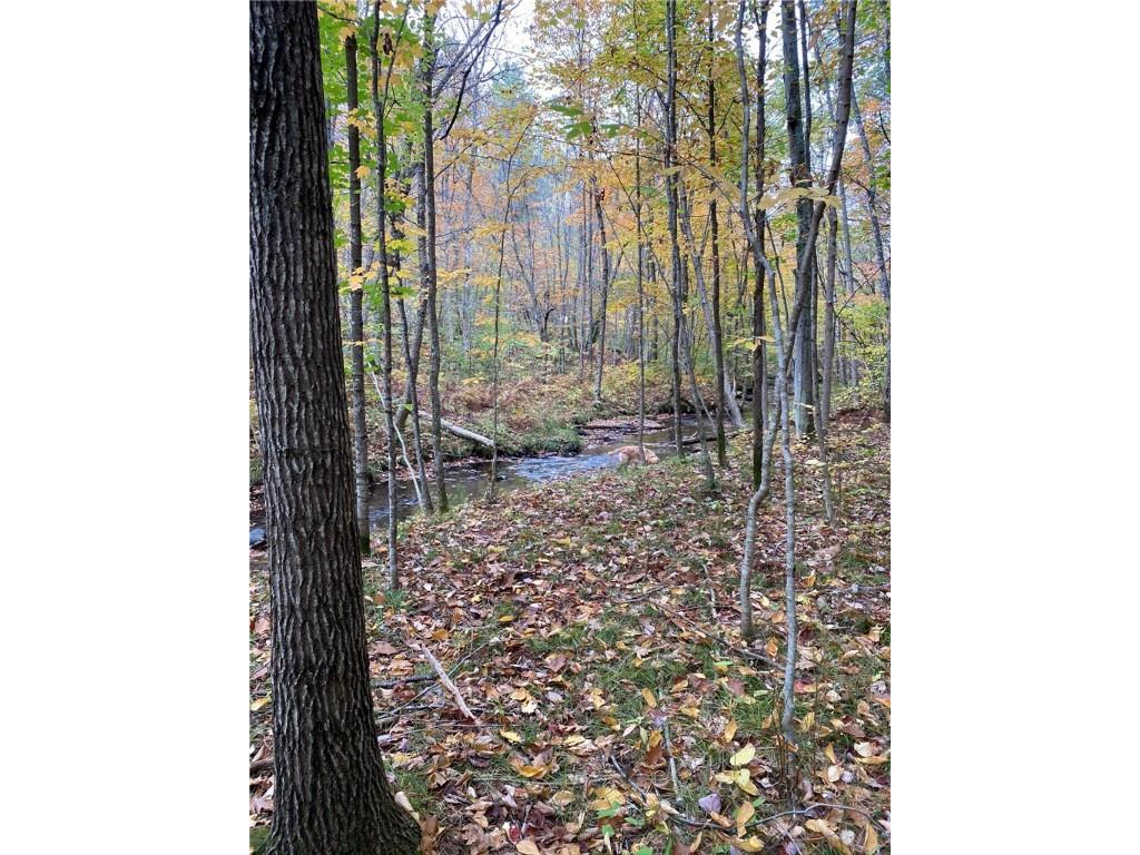 N4385 Red Oak Lane Stone Lake WI 54876 - Slim Lake 1594793 image26