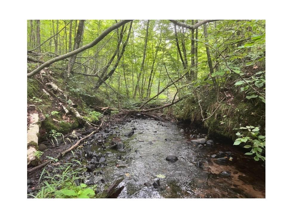 N4385 Red Oak Lane Stone Lake WI 54876 - Slim Lake 1594793 image7