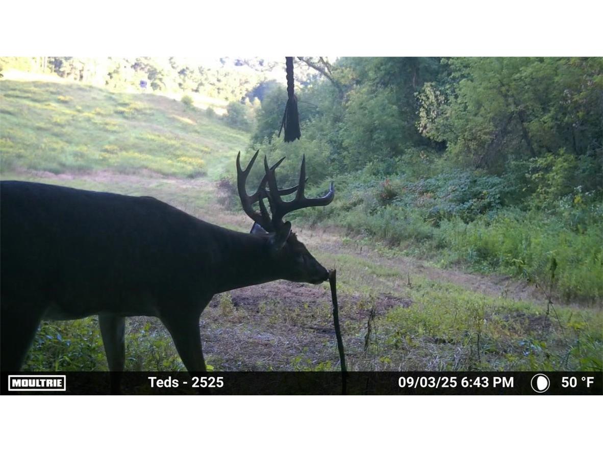 N45211 Franson Rd Roads N Strum WI 54770 1594522 image1