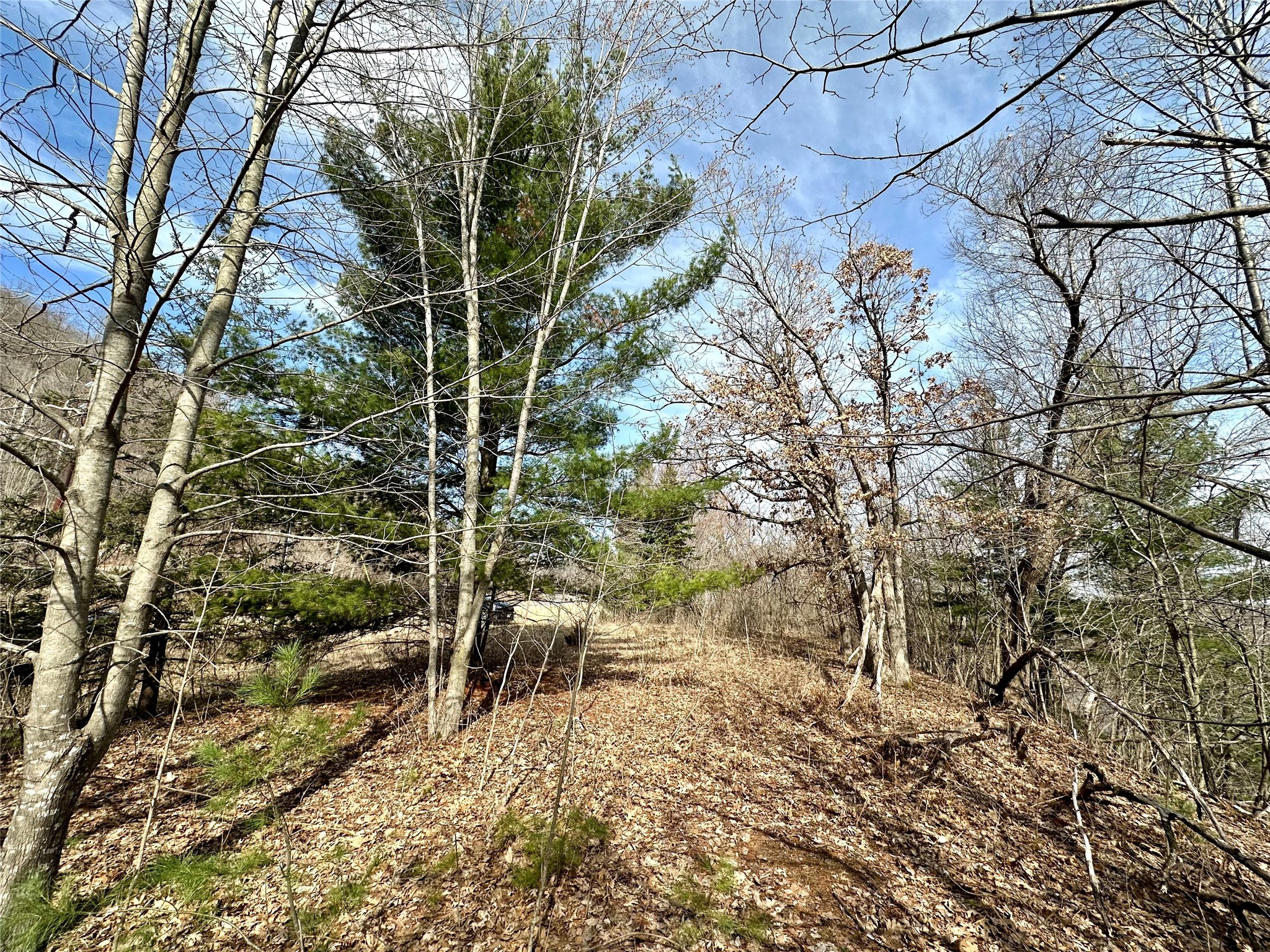 N4548 County Road N Arkansaw WI 54721 - Chippewa River/Dead Lake 1599637 image10