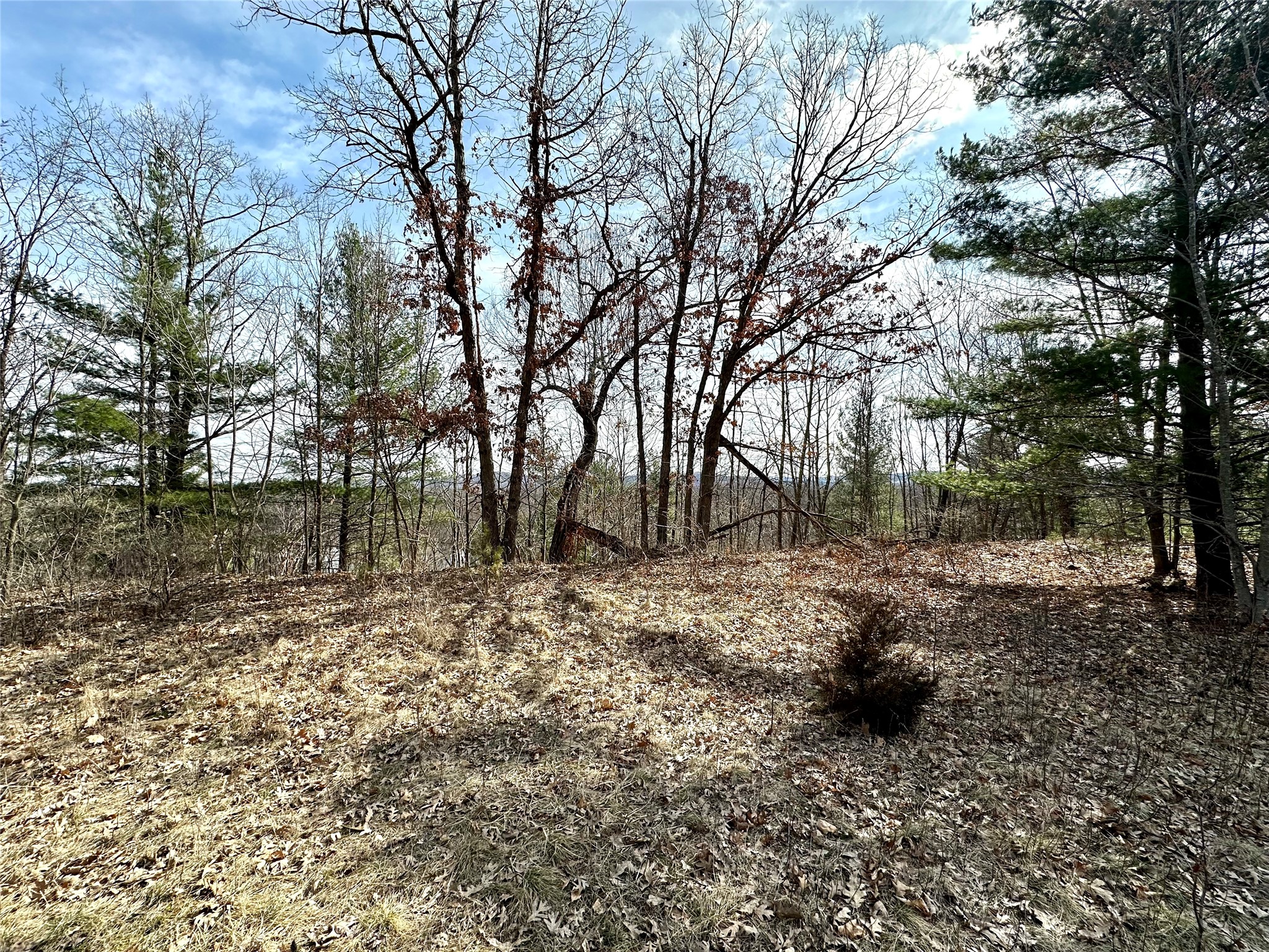 N4548 County Road N Arkansaw WI 54721 - Chippewa River/Dead Lake 1599637 image13