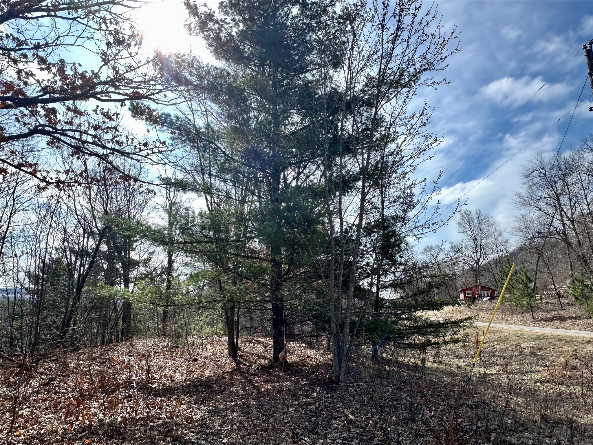 N4548 County Road N Arkansaw WI 54721 - Chippewa River/Dead Lake 1599637 image15