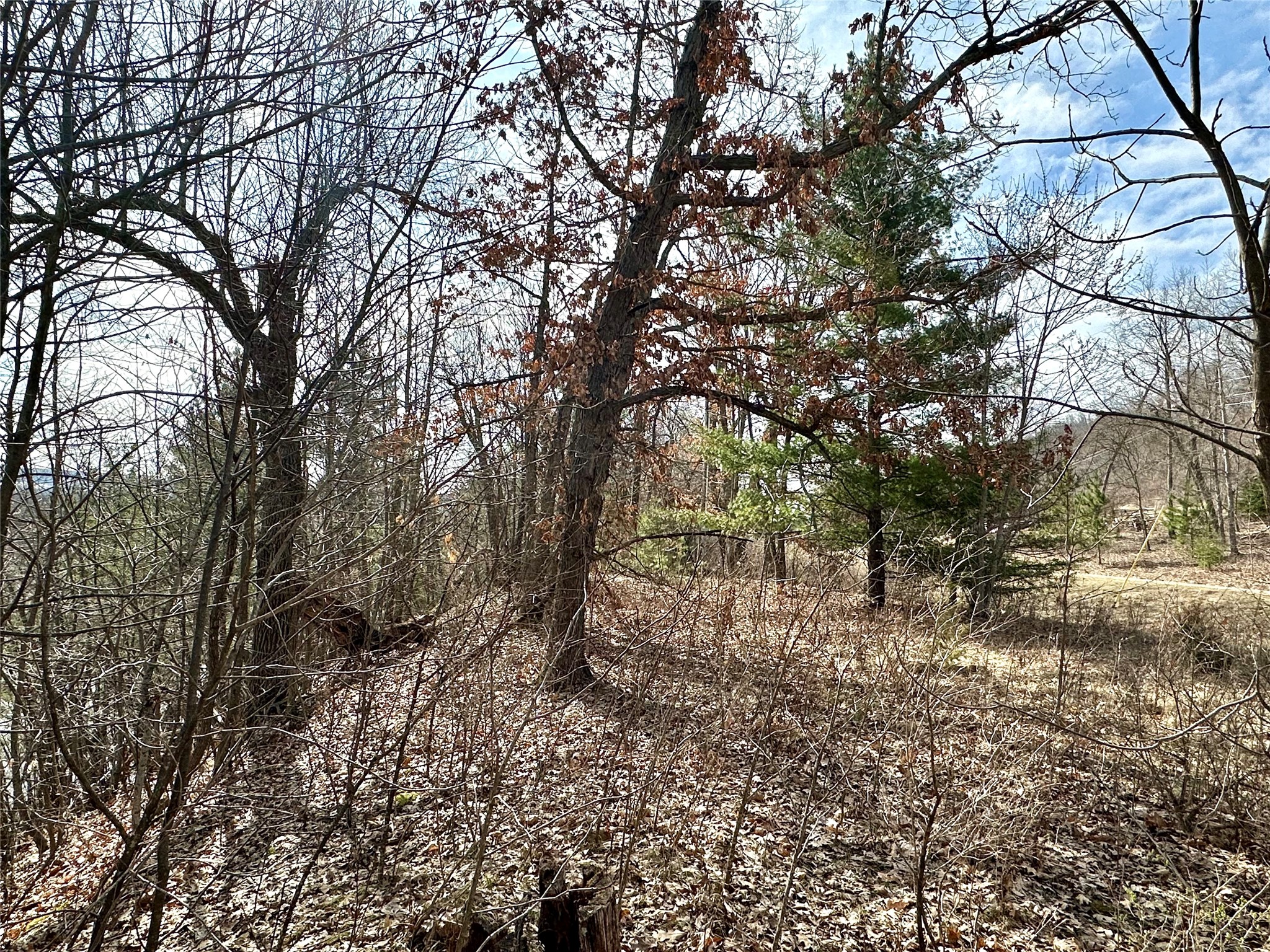N4548 County Road N Arkansaw WI 54721 - Chippewa River/Dead Lake 1599637 image16