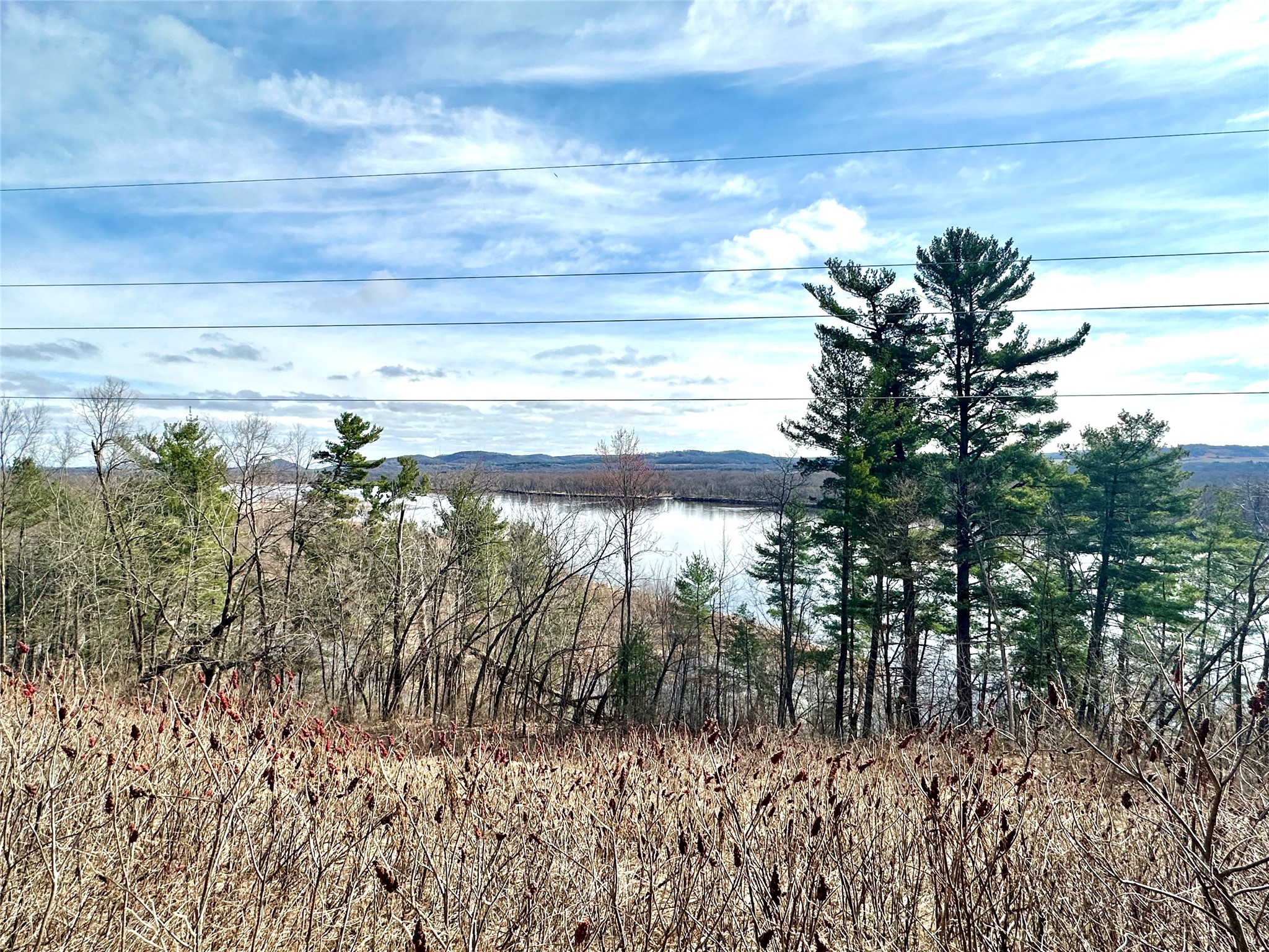 N4548 County Road N Arkansaw WI 54721 - Chippewa River/Dead Lake 1599637 image5