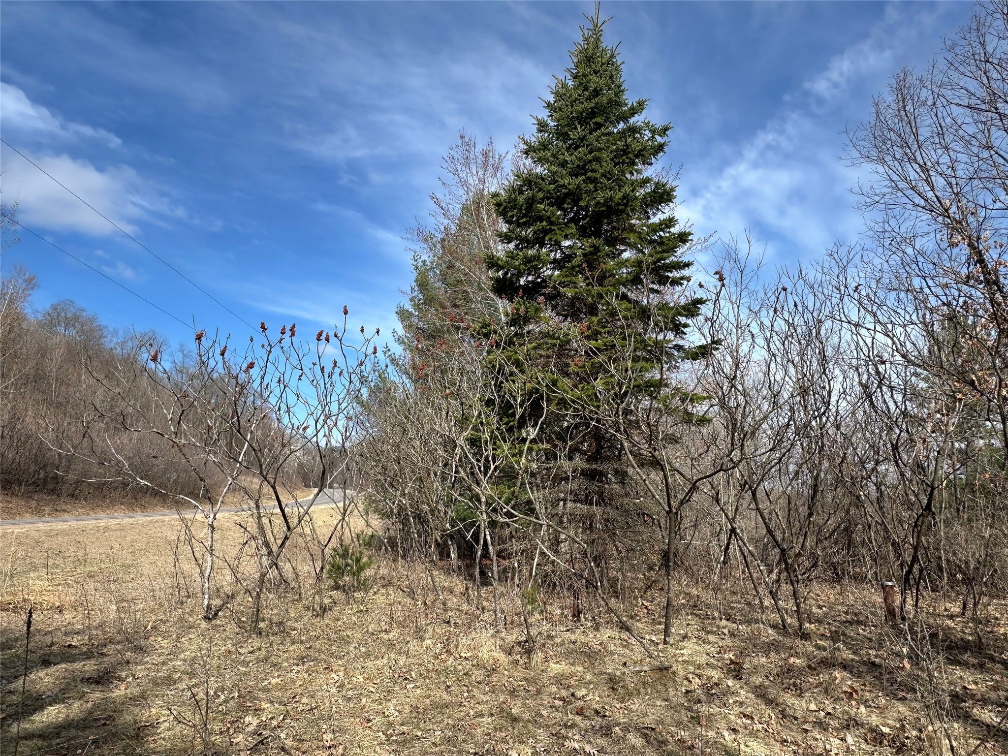 N4548 County Road N Arkansaw WI 54721 - Chippewa River/Dead Lake 1599637 image6