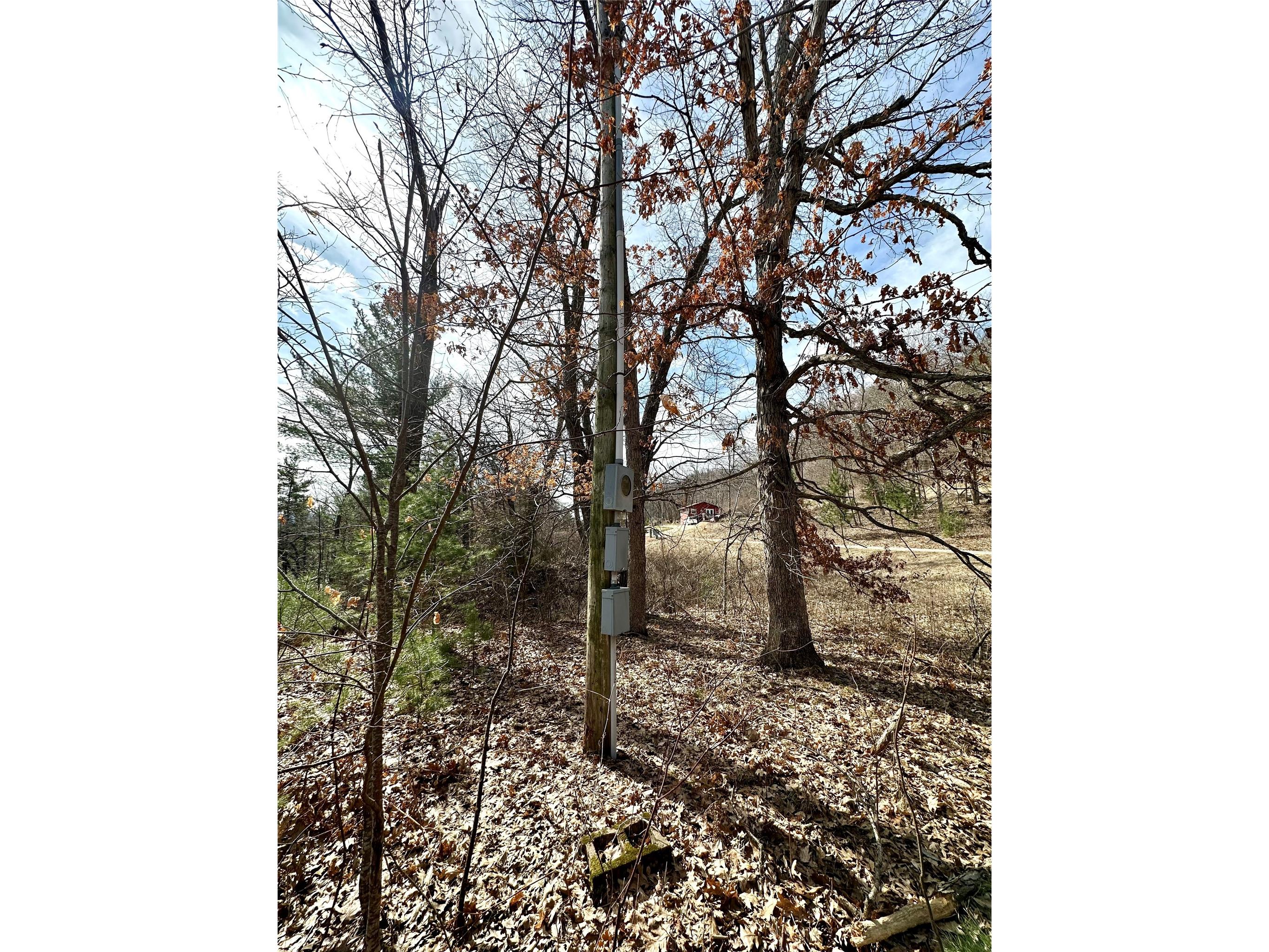 N4548 County Road N Arkansaw WI 54721 - Chippewa River/Dead Lake 1599637 image9