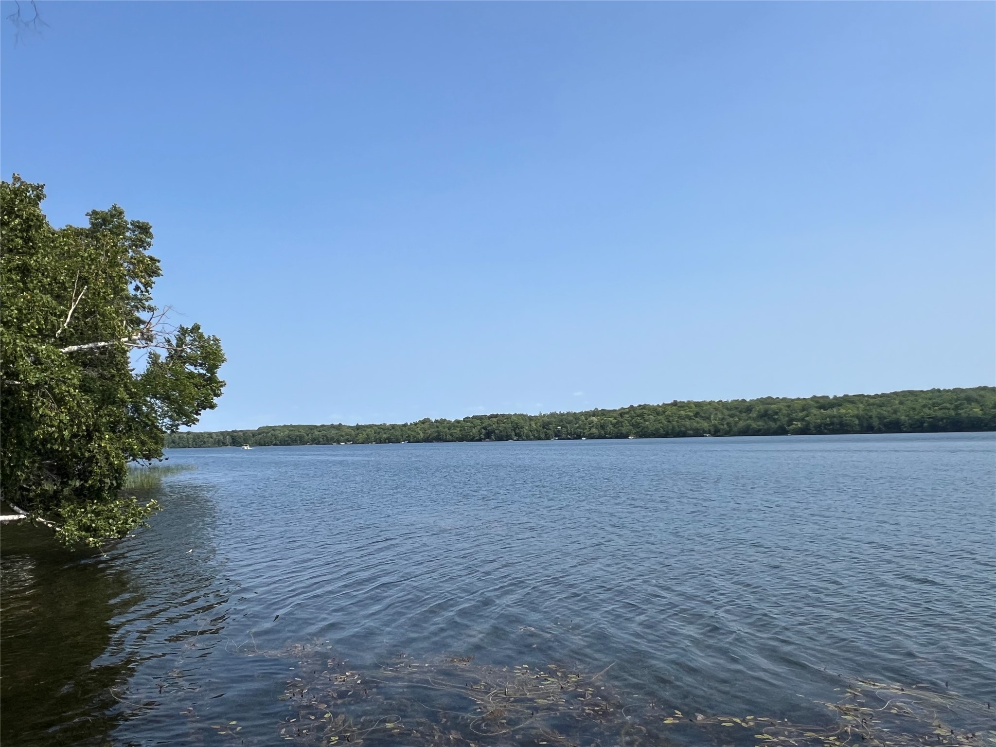 N4586 Radtke Road Stone Lake WI 54876 - Slim 1603392 image53