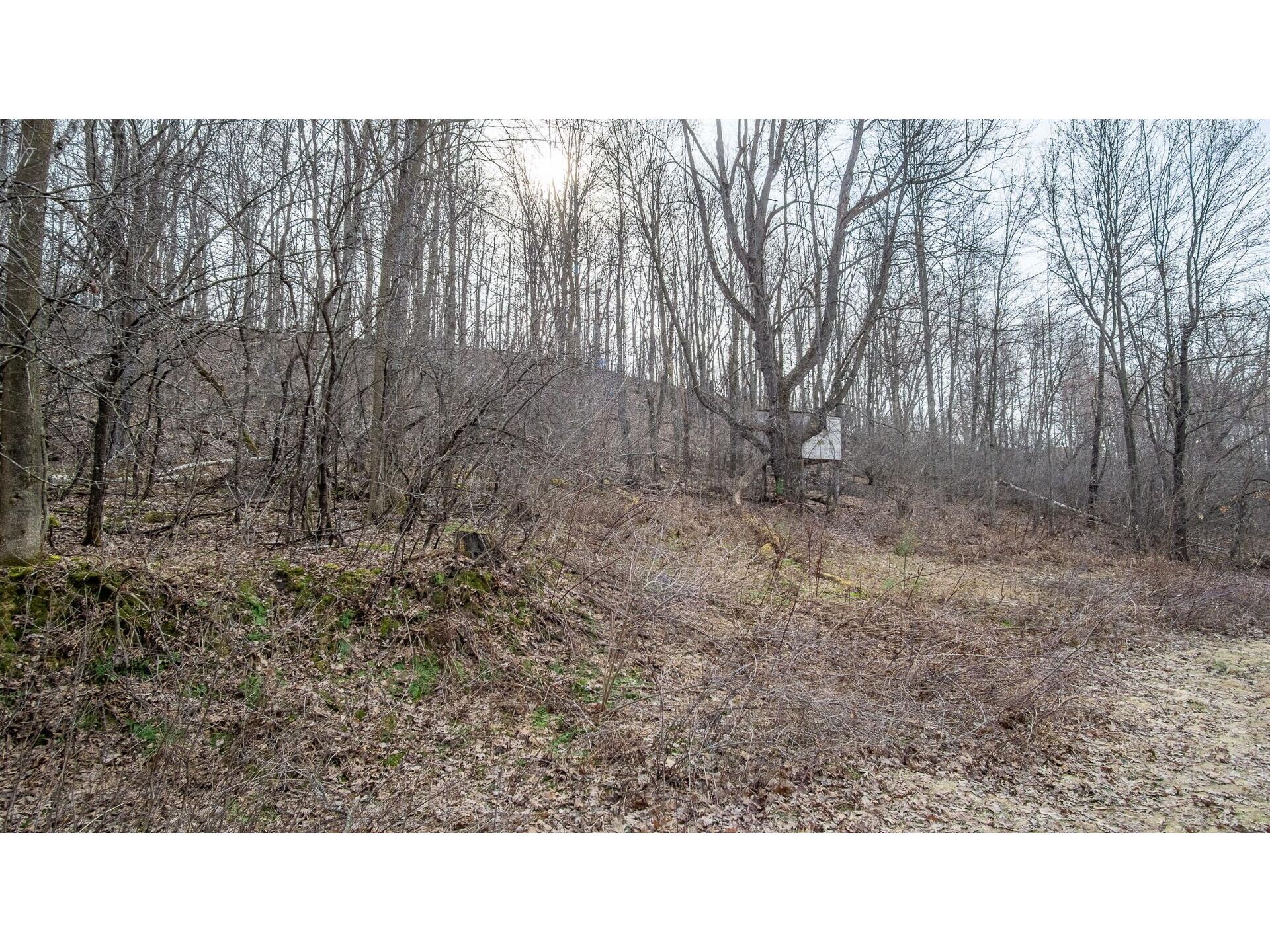 N4615 County Rd Y Menomonie WI 54751 1599636 image42