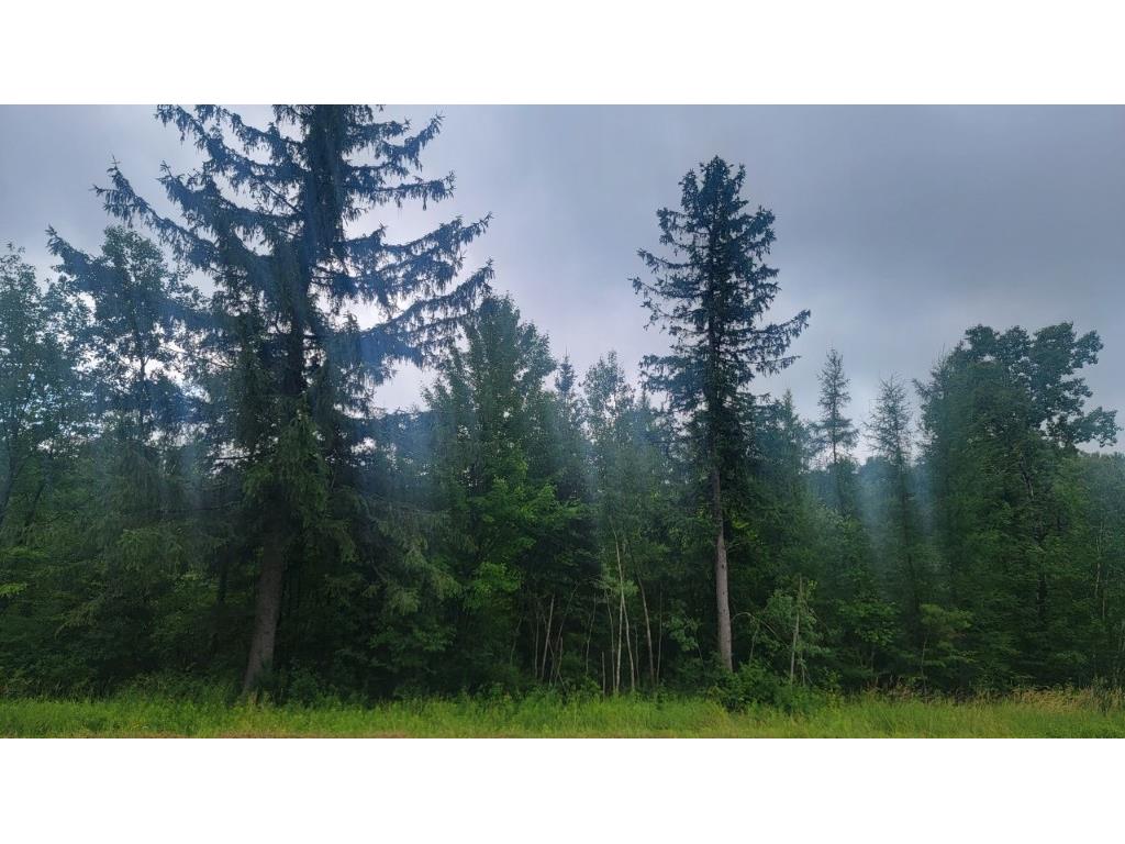 N4651 Pennington Road Prentice WI 54556 1593664 image2