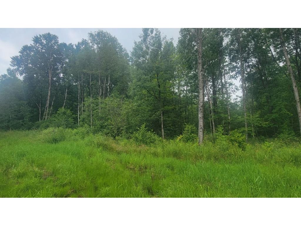 N4651 Pennington Road Prentice WI 54556 1593664 image21