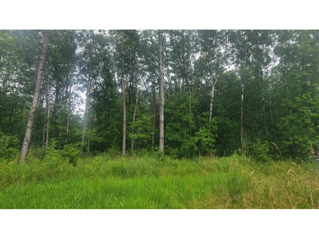 N4651 Pennington Road Prentice WI 54556 1593664 image22