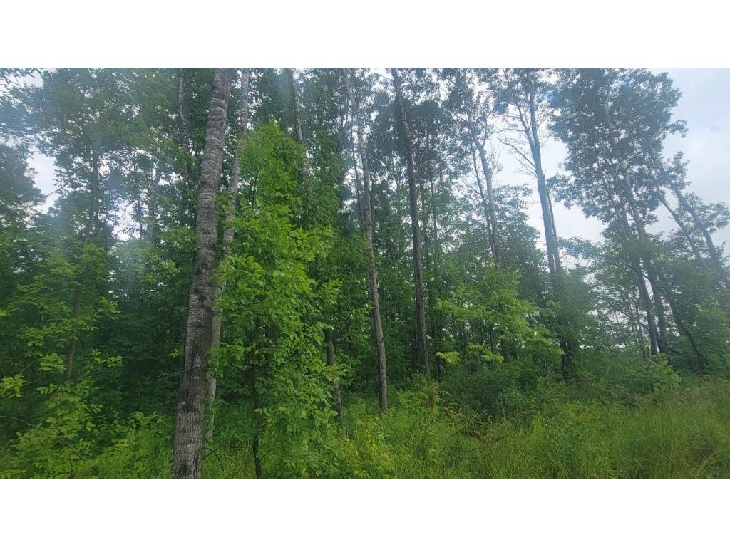 N4651 Pennington Road Prentice WI 54556 1593664 image23