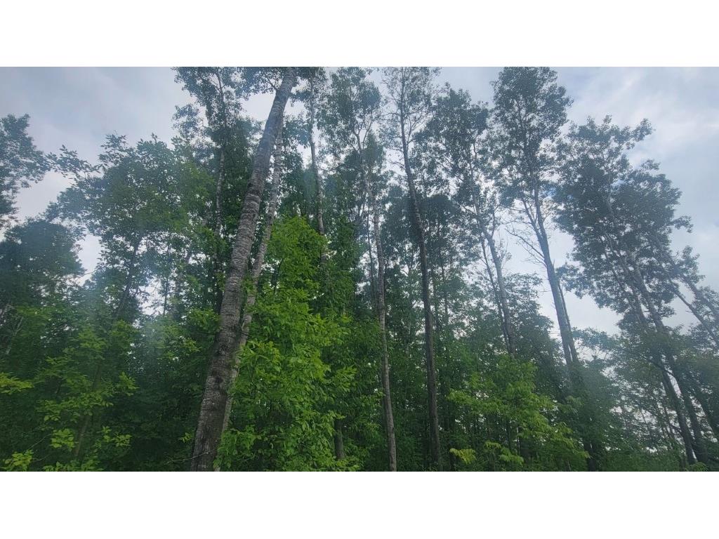 N4651 Pennington Road Prentice WI 54556 1593664 image24