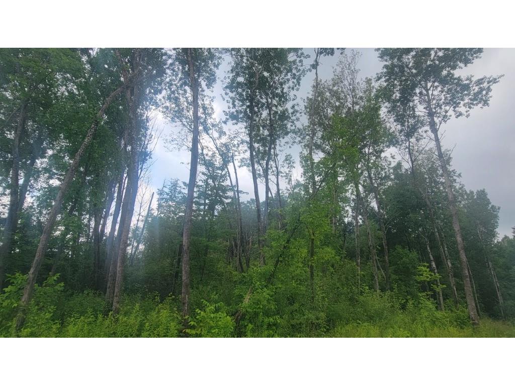 N4651 Pennington Road Prentice WI 54556 1593664 image25