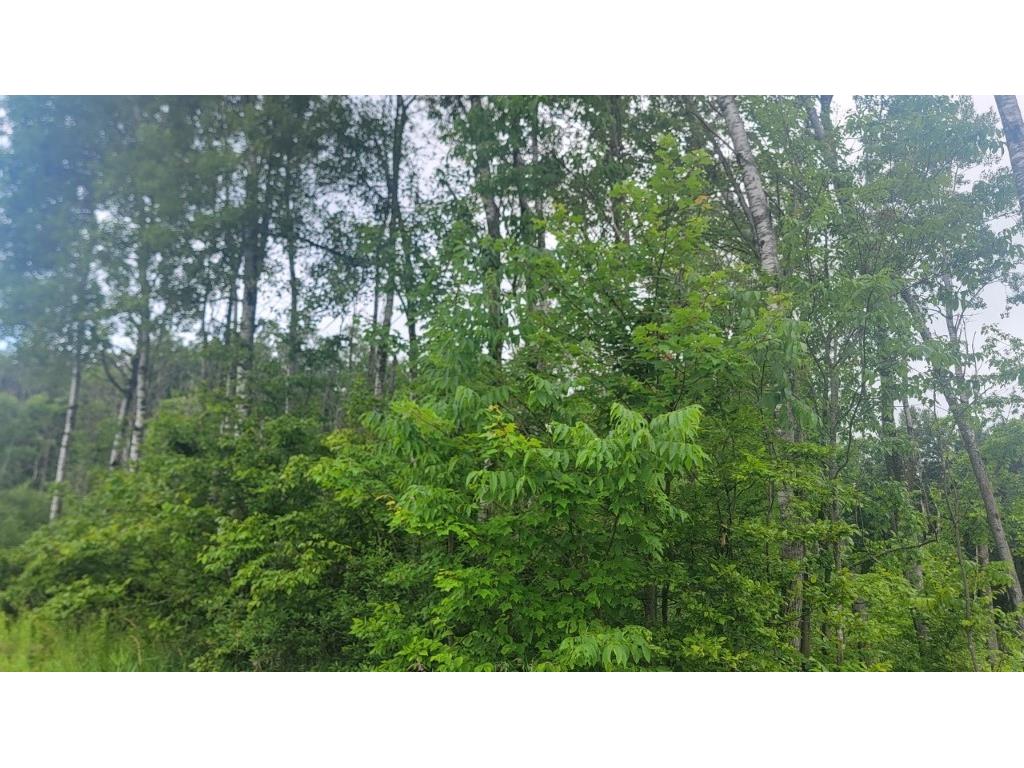 N4651 Pennington Road Prentice WI 54556 1593664 image26