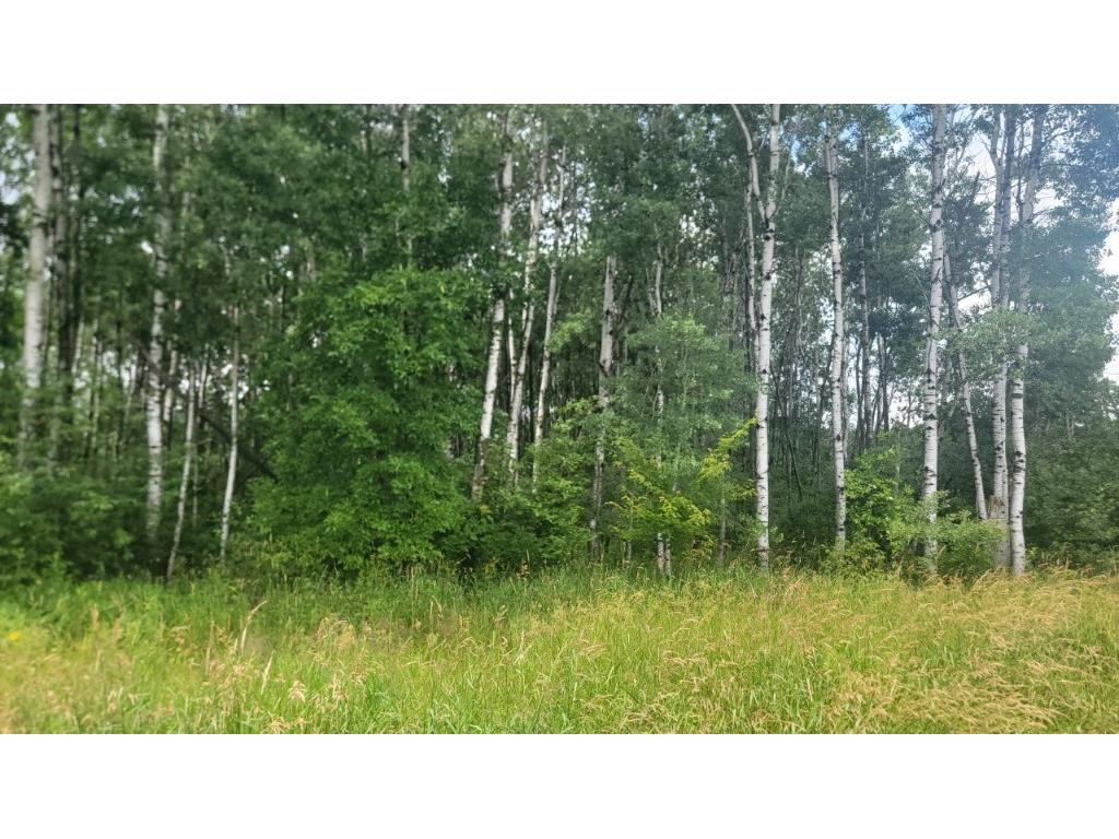 N4651 Pennington Road Prentice WI 54556 1593664 image28