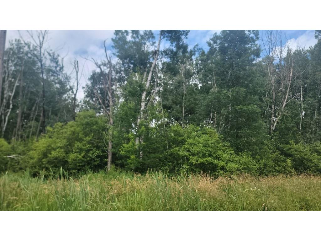 N4651 Pennington Road Prentice WI 54556 1593664 image29
