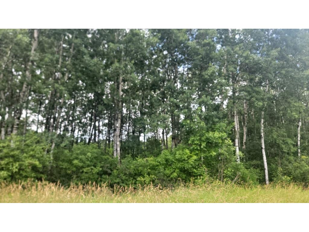 N4651 Pennington Road Prentice WI 54556 1593664 image30