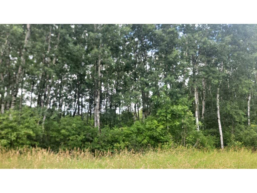 N4651 Pennington Road Prentice WI 54556 1593664 image31