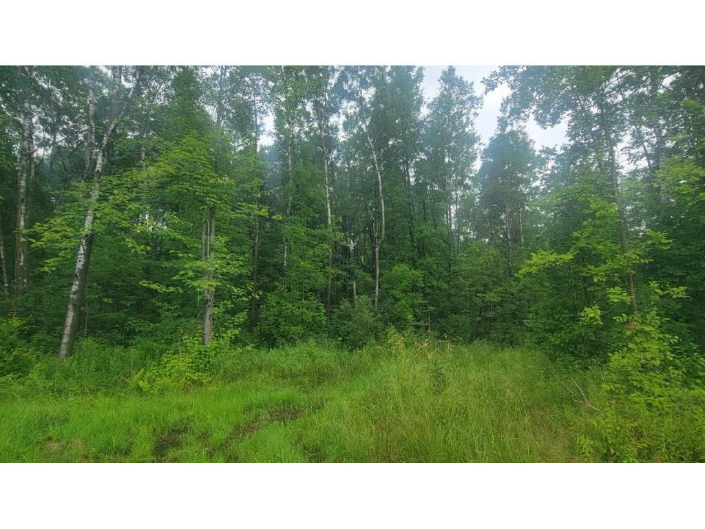 N4651 Pennington Road Prentice WI 54556 1593664 image7