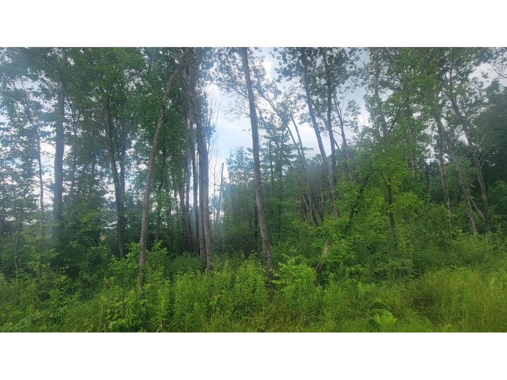 N4651 Pennington Road Prentice WI 54556 1593664 image8