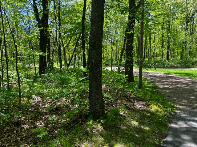 N4798 Loop Road Spooner WI 54801 1601558 image42