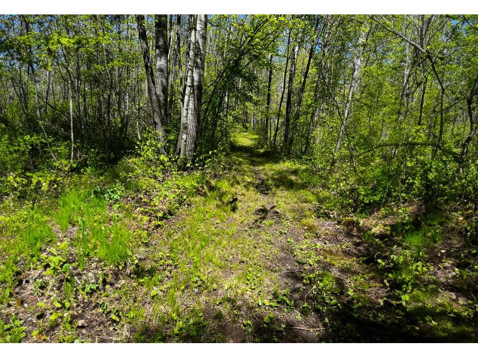 N4798 Loop Road Spooner WI 54801 1601558 image48