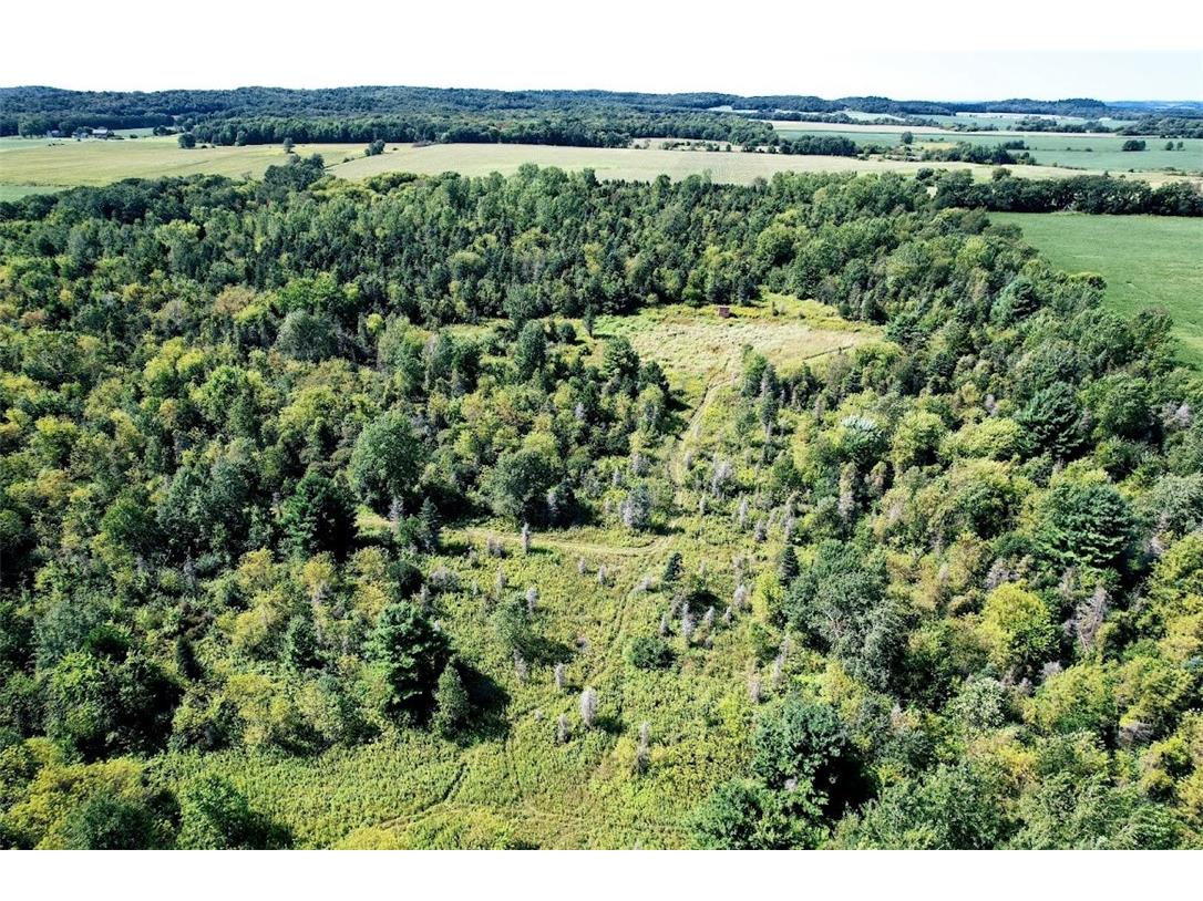 N48025 County Road B Osseo WI 54758 - Timber Creek 1590789 image1