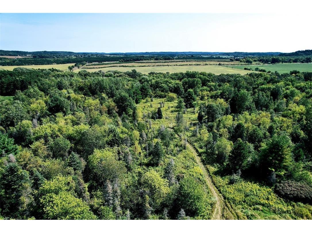 N48025 County Road B Osseo WI 54758 - Timber Creek 1590789 image12