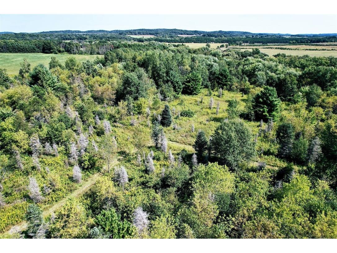 N48025 County Road B Osseo WI 54758 - Timber Creek 1590789 image13