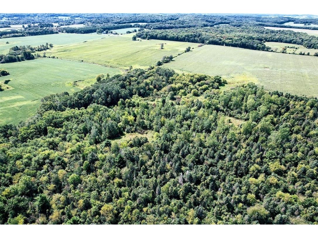 N48025 County Road B Osseo WI 54758 - Timber Creek 1590789 image15