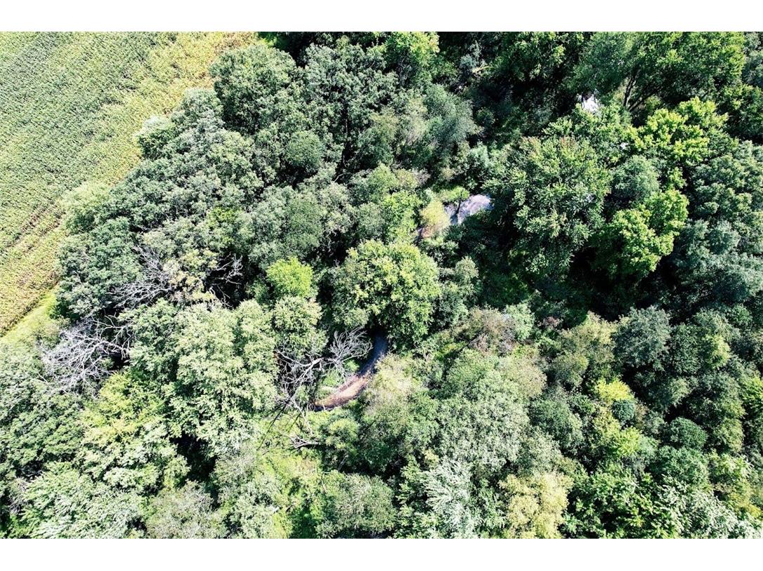 N48025 County Road B Osseo WI 54758 - Timber Creek 1590789 image16