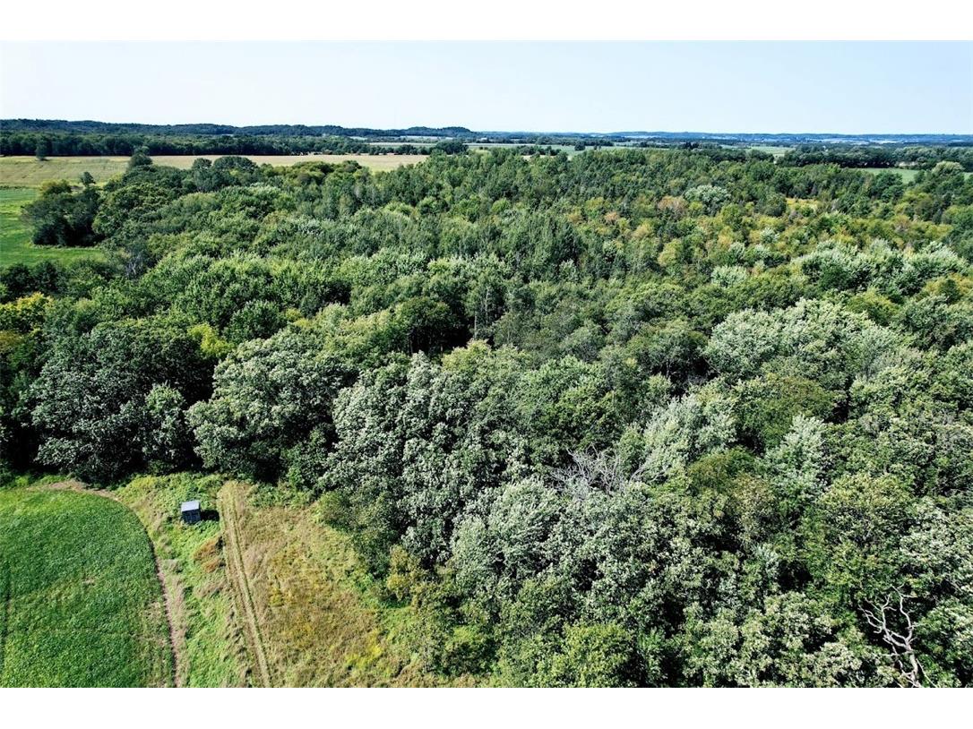 N48025 County Road B Osseo WI 54758 - Timber Creek 1590789 image18