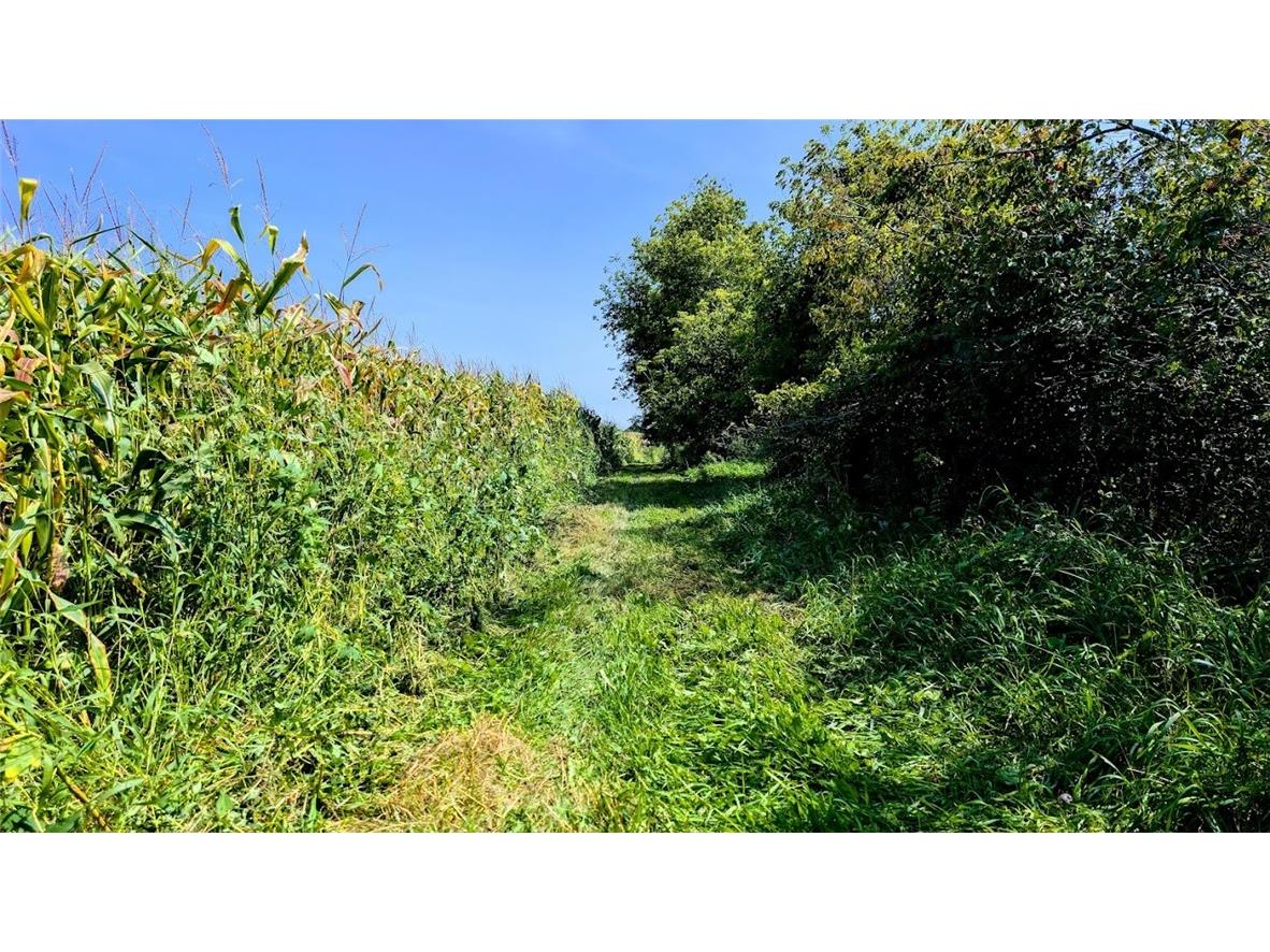 N48025 County Road B Osseo WI 54758 - Timber Creek 1590789 image19