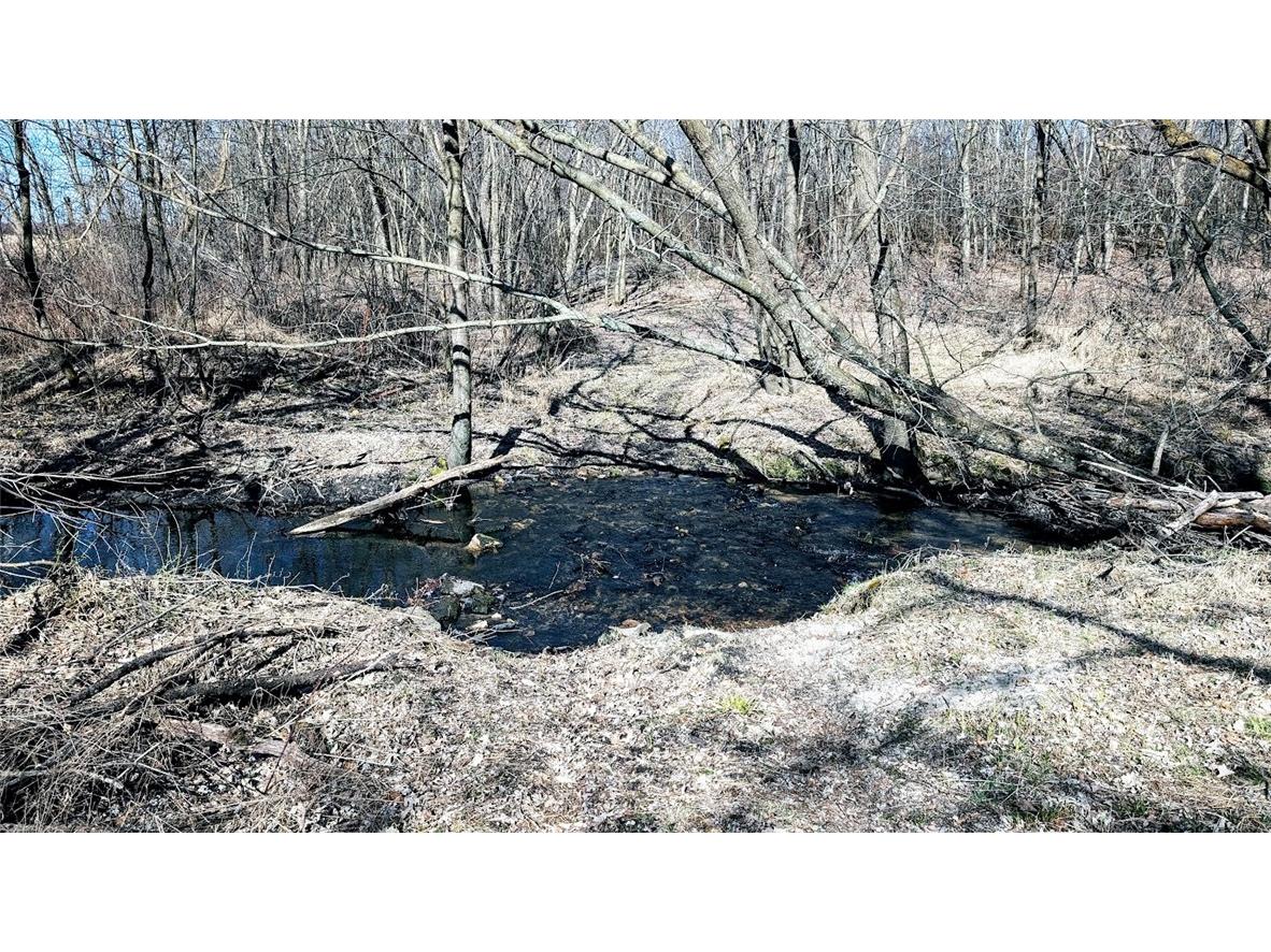 N48025 County Road B Osseo WI 54758 - Timber Creek 1590789 image22