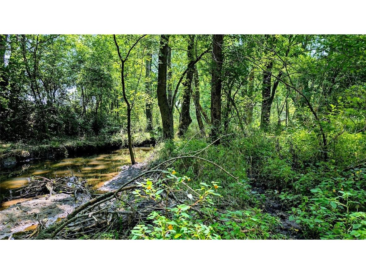 N48025 County Road B Osseo WI 54758 - Timber Creek 1590789 image23