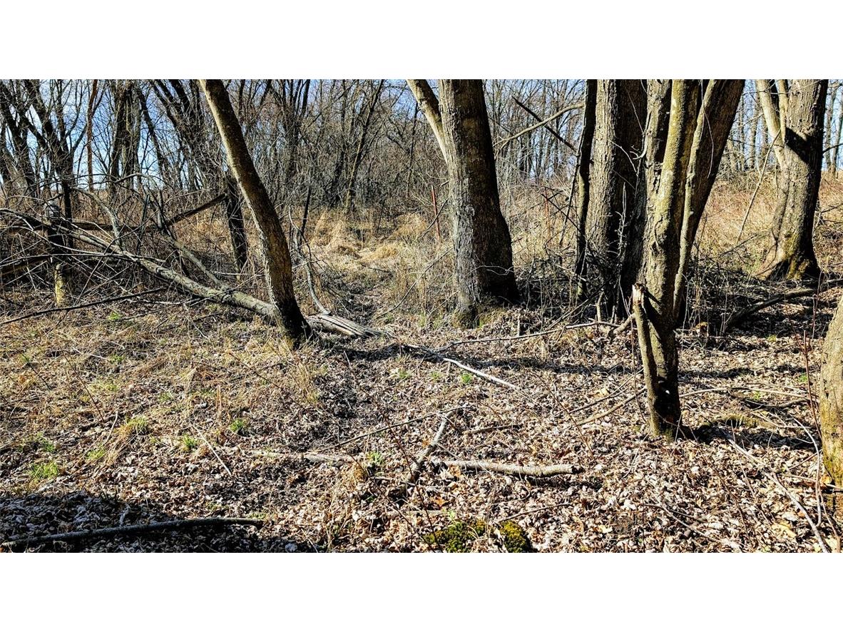 N48025 County Road B Osseo WI 54758 - Timber Creek 1590789 image24