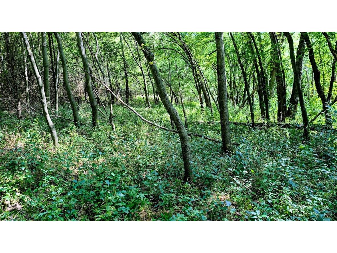 N48025 County Road B Osseo WI 54758 - Timber Creek 1590789 image25