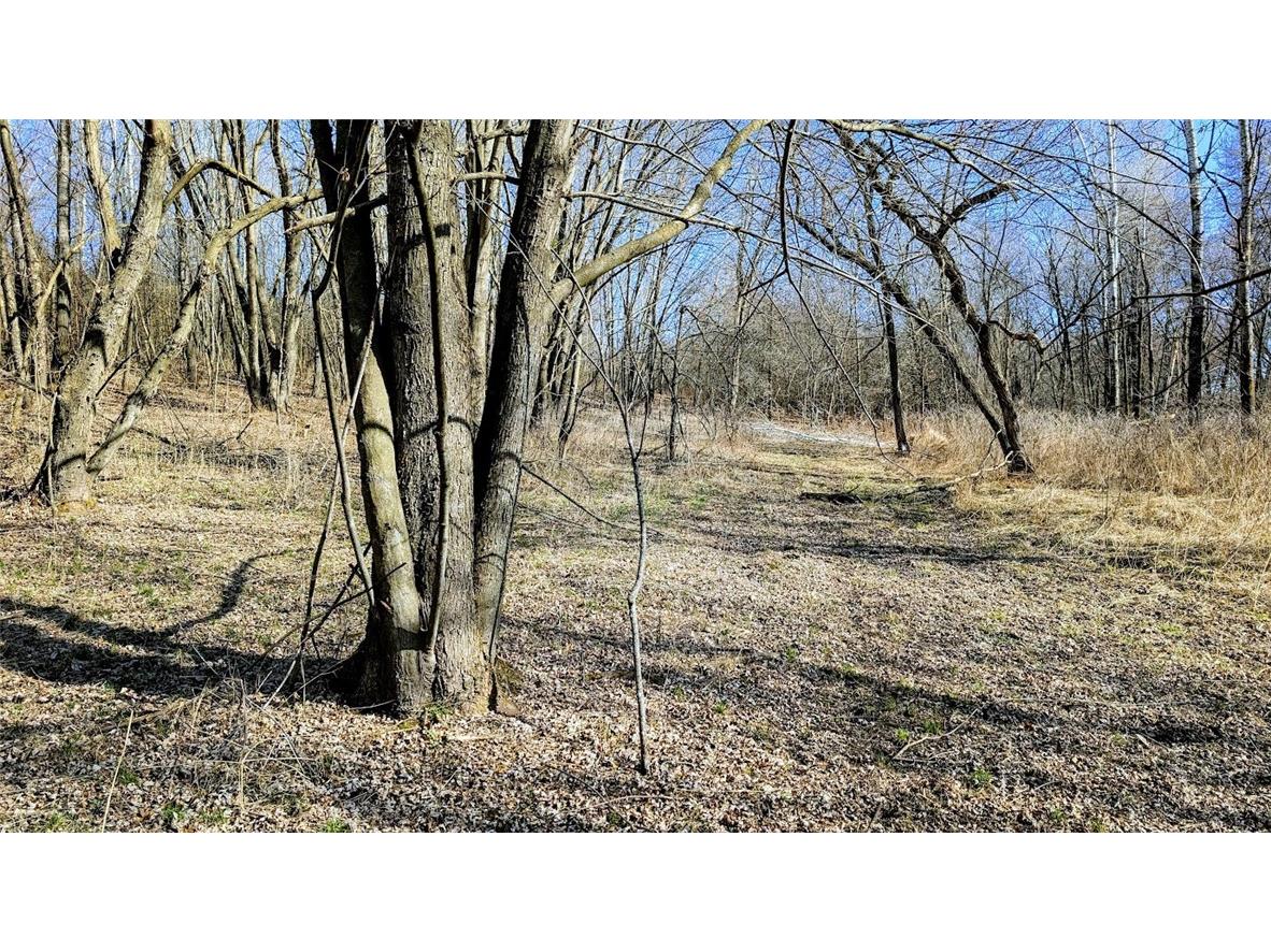 N48025 County Road B Osseo WI 54758 - Timber Creek 1590789 image26