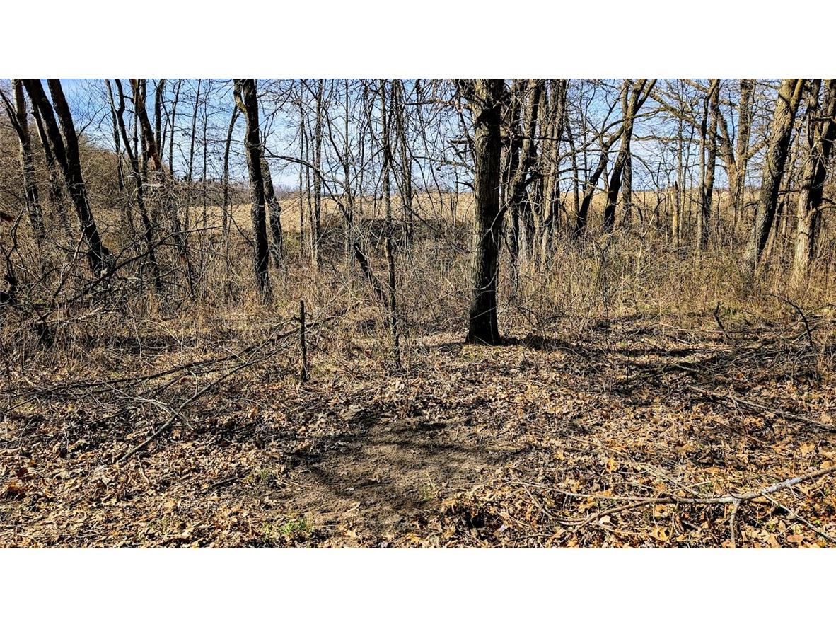 N48025 County Road B Osseo WI 54758 - Timber Creek 1590789 image27