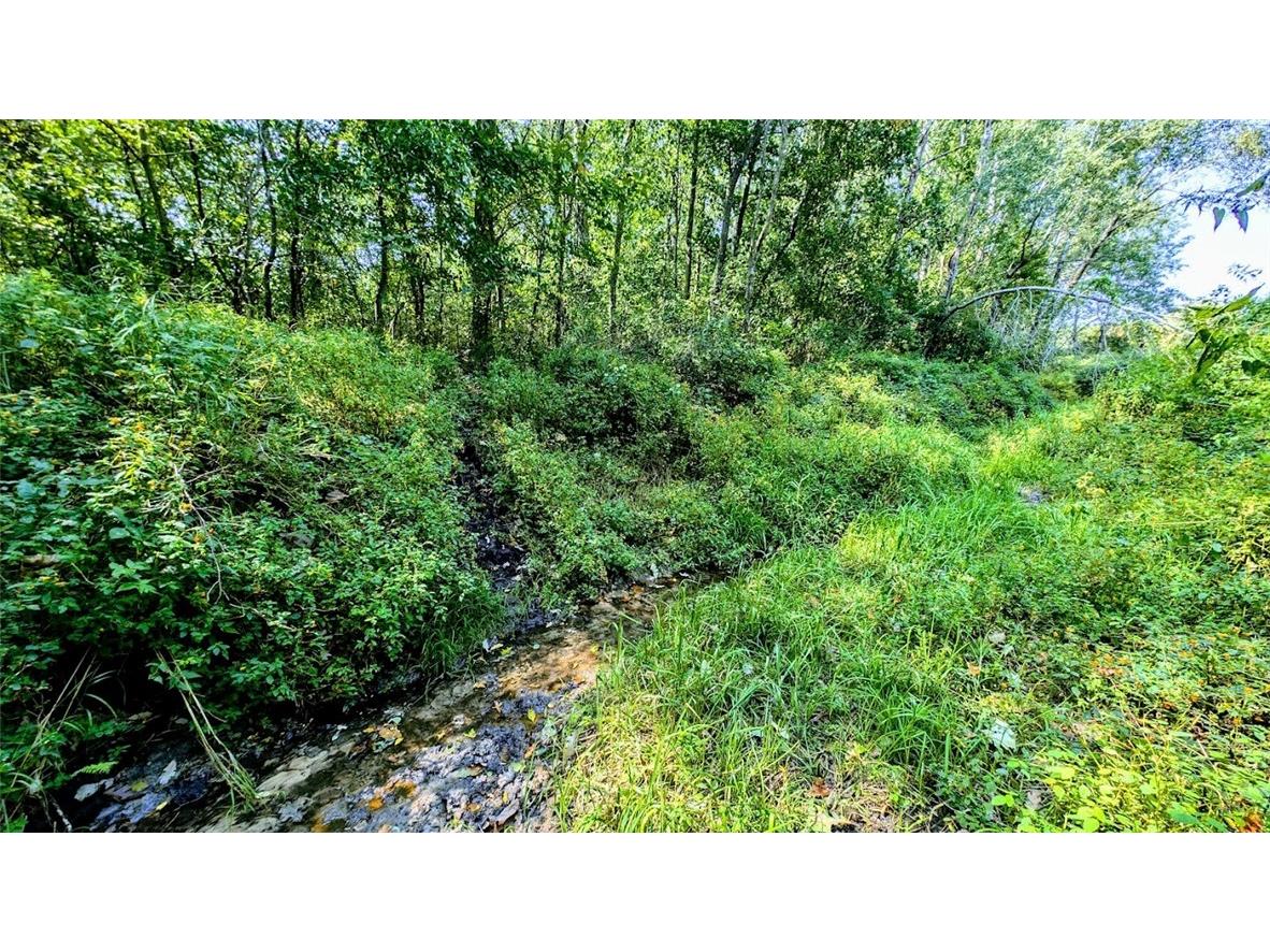 N48025 County Road B Osseo WI 54758 - Timber Creek 1590789 image28