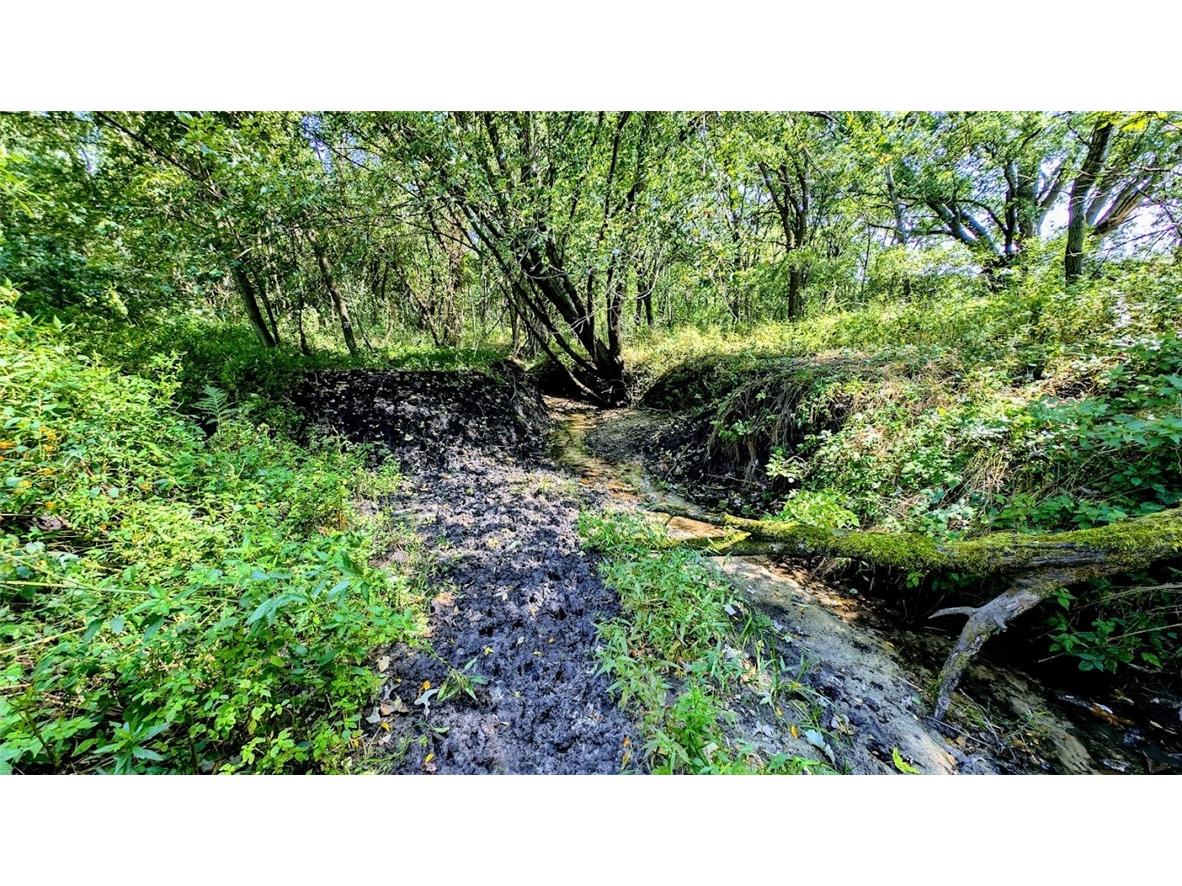 N48025 County Road B Osseo WI 54758 - Timber Creek 1590789 image29