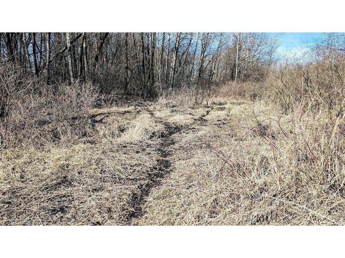 N48025 County Road B Osseo WI 54758 - Timber Creek 1590789 image31